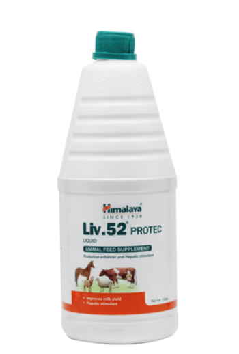 Himalaya Herbals Liv 52 Protec Liquid Ayurvedic Tonic for Healthy Liver Support 1Ltr Pet Health Supplements