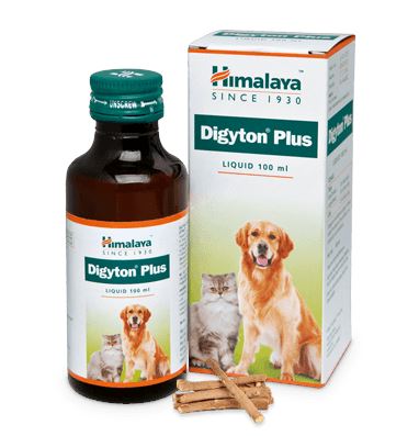 Himalaya Digestive Stimulant Digyton Plus Syrup for Dogs and Cats