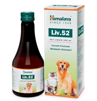 Himalaya Liv.52 Liver Support Supplement 200 ml